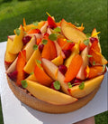Tarte pêche, nectarine, abricot