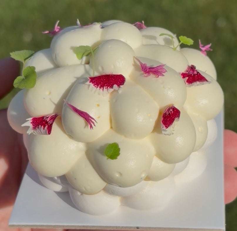 Pavlova fruits rouges